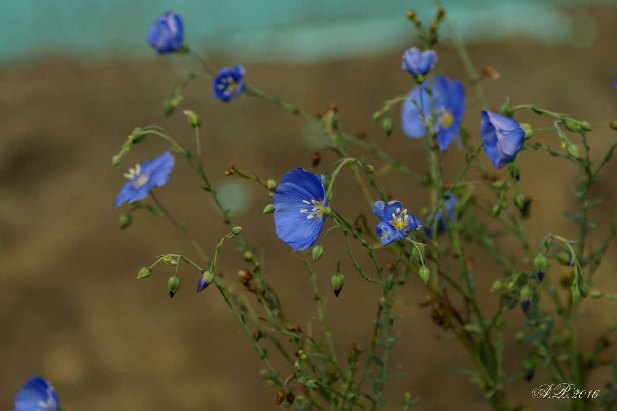 ���. ����� �������� �. �� PhotoGeek.ru #�����