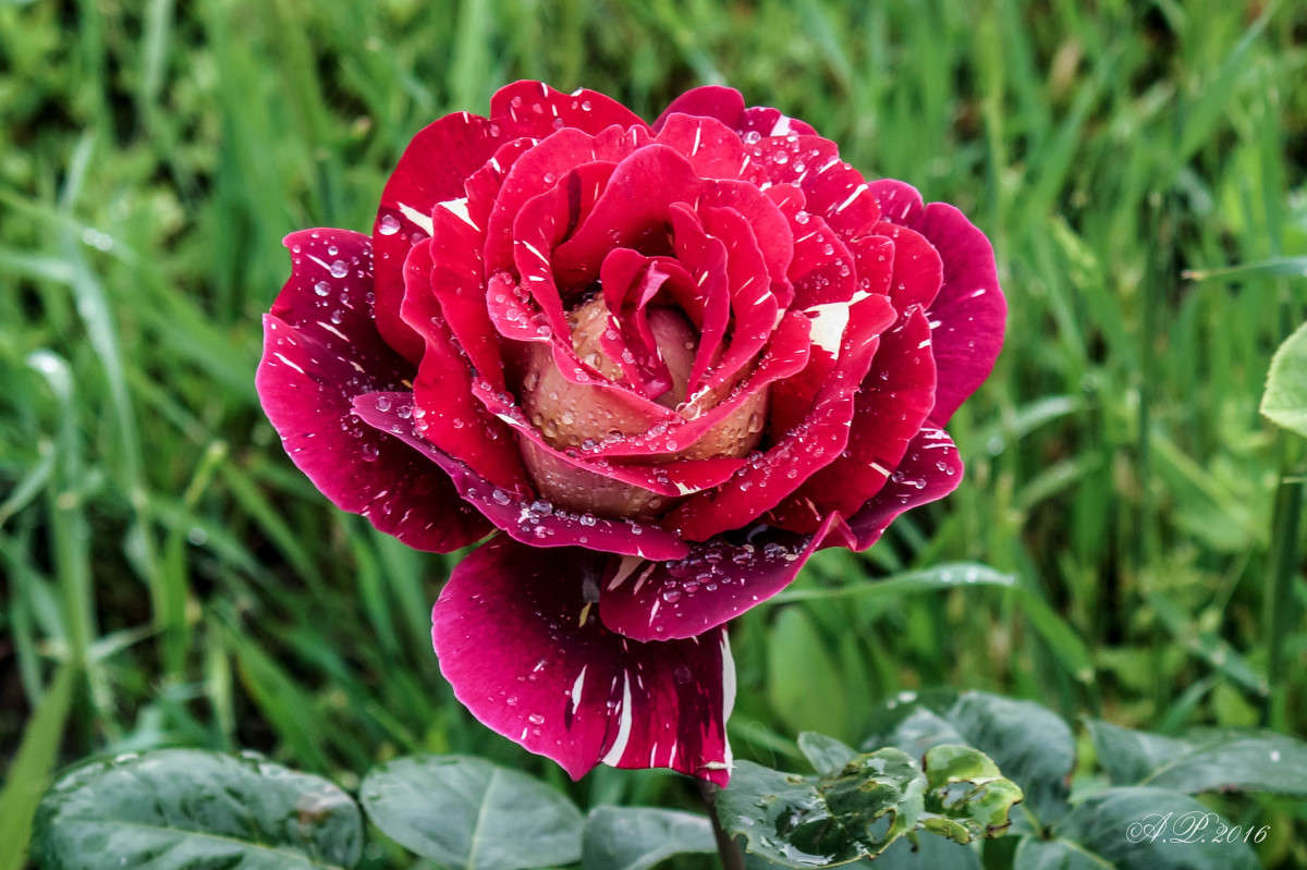 ����. ����� �������� �. �� PhotoGeek.ru #������ ��� �������