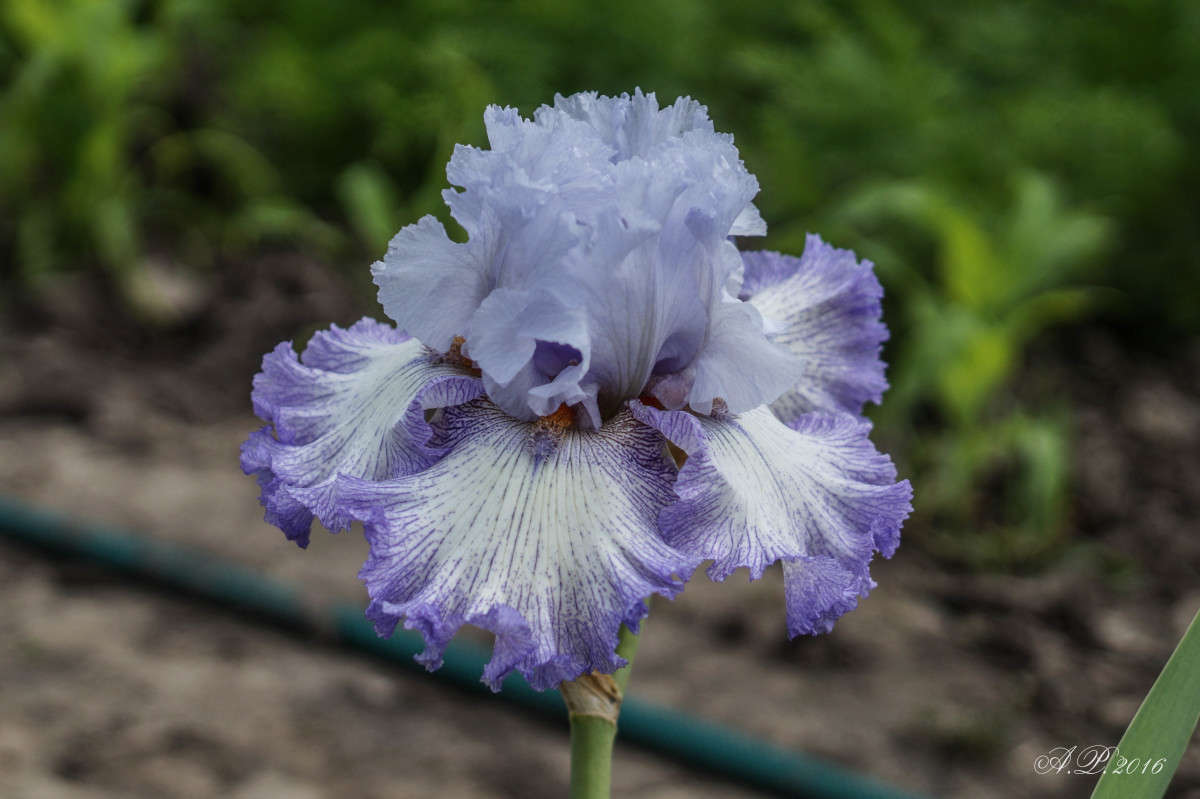 �����. ����� �������� �. �� PhotoGeek.ru #������ ��� �������