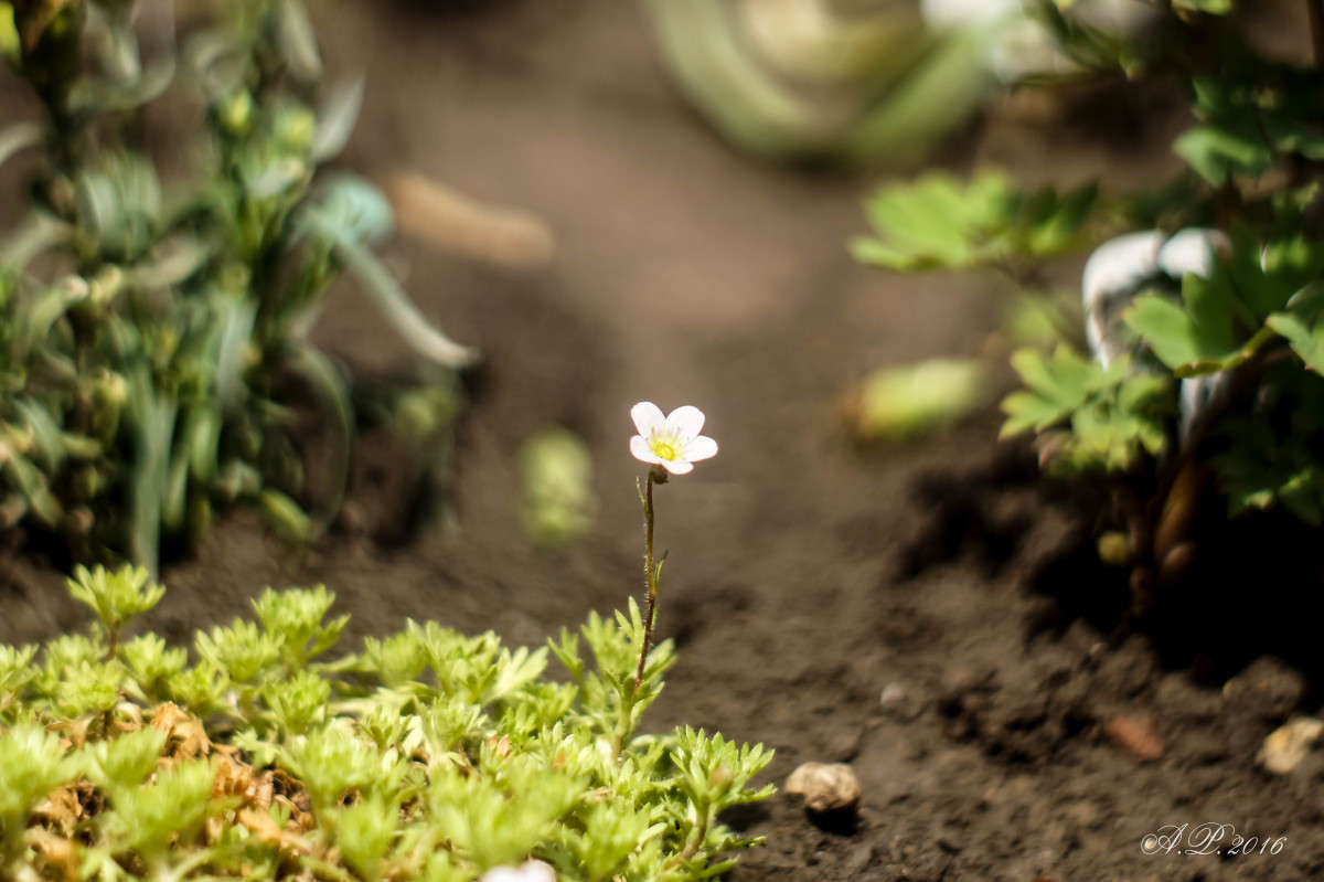 ����������. ����� �������� �. �� PhotoGeek.ru #�����