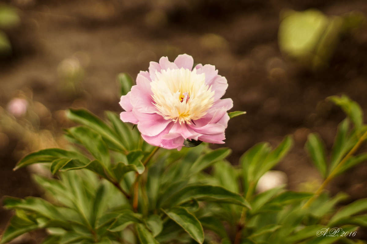 ����. ����� �������� �. �� PhotoGeek.ru #������ ��� �������