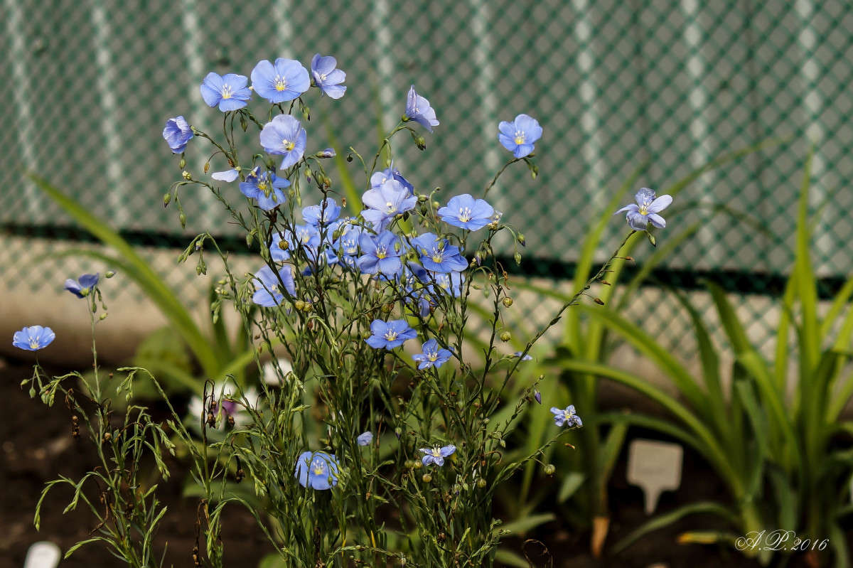 ���. ����� �������� �. �� PhotoGeek.ru #������ ��� �������