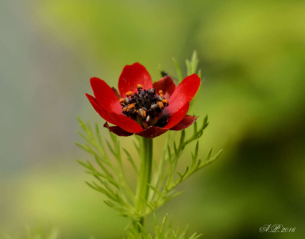 ������. ����� �������� �. �� PhotoGeek.ru #�����