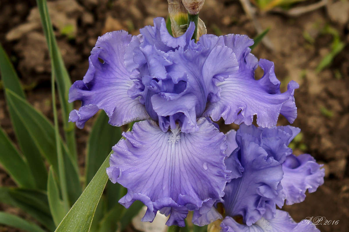 ����. ����� �������� �. �� PhotoGeek.ru #������ ��� �������