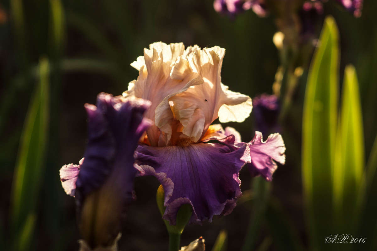 ����. ����� �������� �. �� PhotoGeek.ru #������ ��� �������