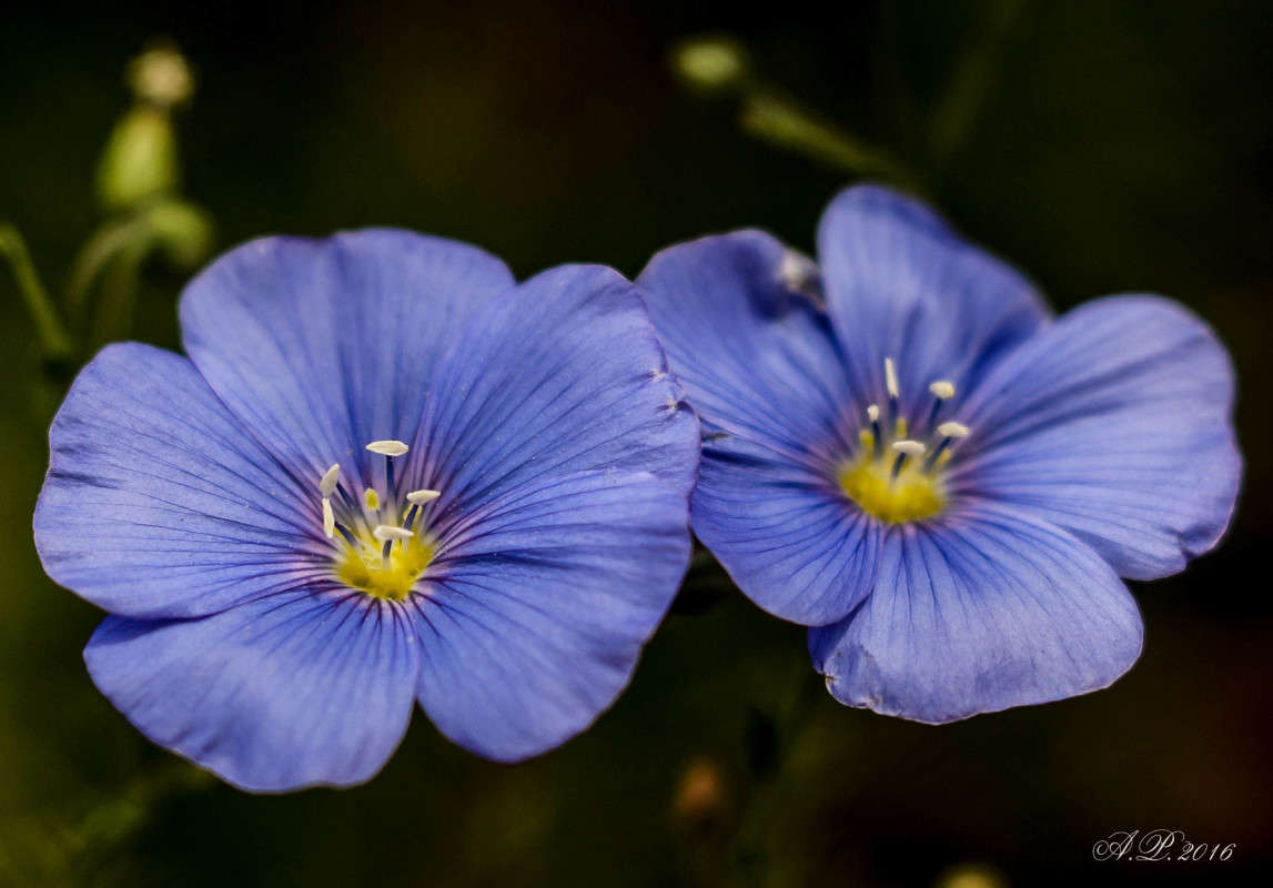 ������� ������. ����� �������� �. �� PhotoGeek.ru #�����