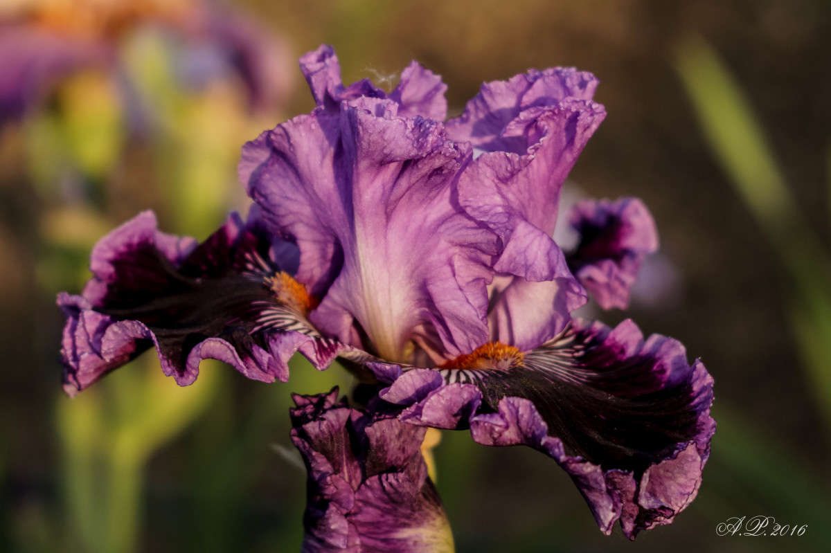 ����. ����� �������� �. �� PhotoGeek.ru #������ ��� �������