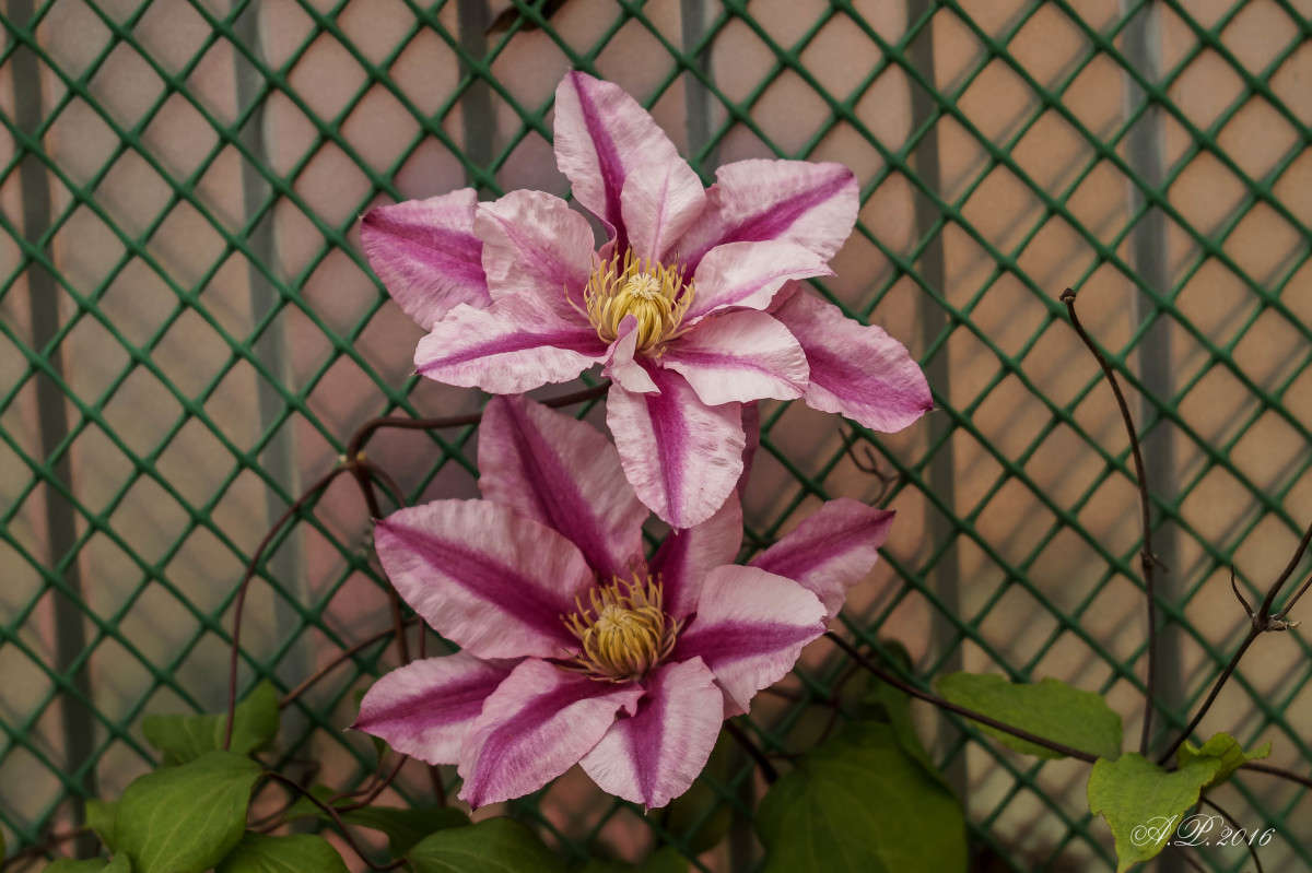 �����. ����� �������� �. �� PhotoGeek.ru #������ ��� �������