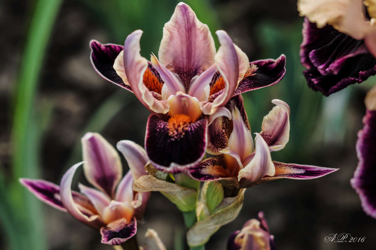 ����. ����� �������� �. �� PhotoGeek.ru #������ ��� �������