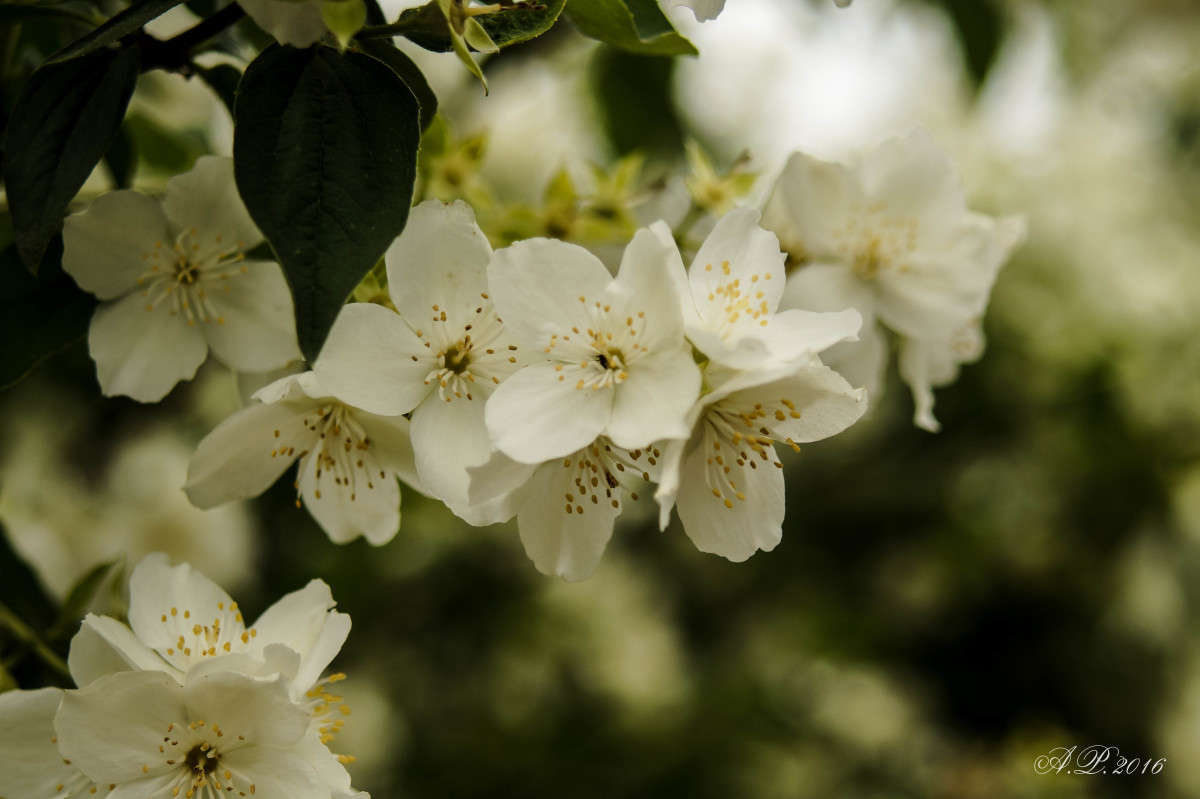 ������. ����� �������� �. �� PhotoGeek.ru #������ ��� �������