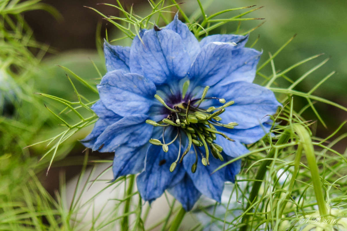 �������. ����� �������� �. �� PhotoGeek.ru #������ ��� �������