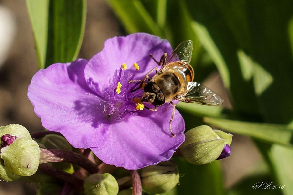 ������������ . ����� �������� �. �� PhotoGeek.ru #�����