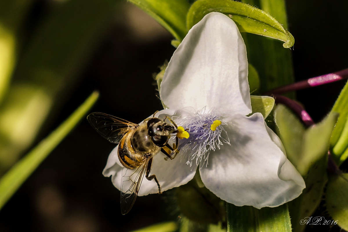 ������������ . ����� �������� �. �� PhotoGeek.ru #�����