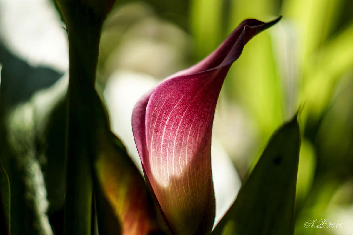 ����� ����� �������� �. �� PhotoGeek.ru #������ ��� �������