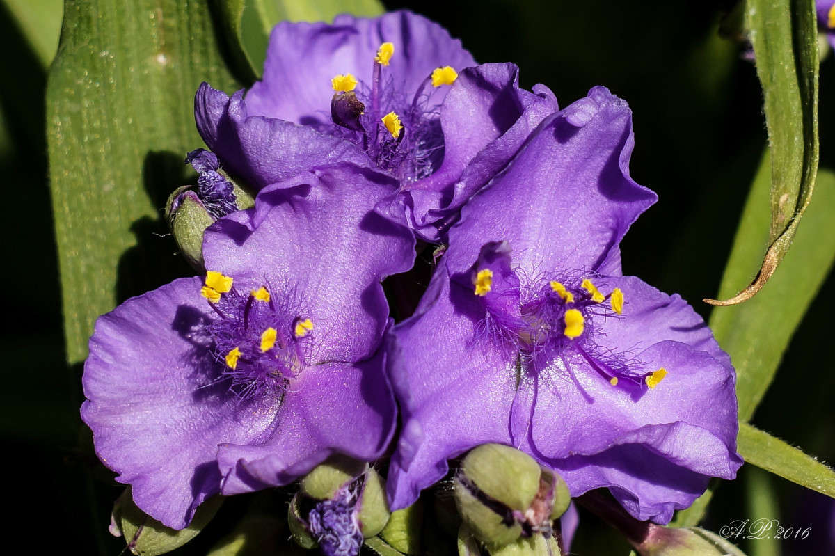 ������������ . ����� �������� �. �� PhotoGeek.ru #������ ��� �������