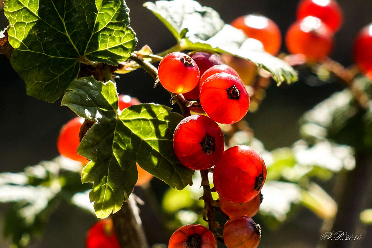 ���������� ����� �������� �. �� PhotoGeek.ru #������ ��� �������