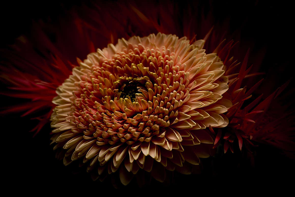 �������) ����� ��������� �������� �� PhotoGeek.ru #����� #����� ��������������