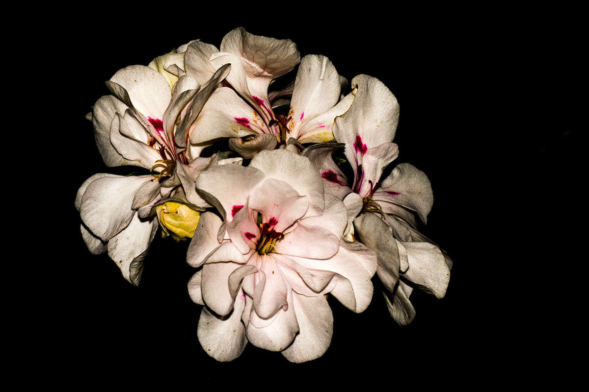 ��������) ����� ��������� �������� �� PhotoGeek.ru #������ ��� ������� #����� ��������������