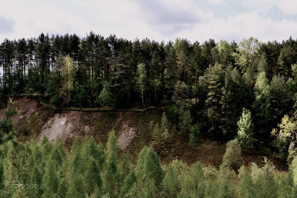 Меловые горы автор Aiforia  на PhotoGeek.ru #Пейзаж или природа #Весна #Гродно #Лес #Меловые Горы