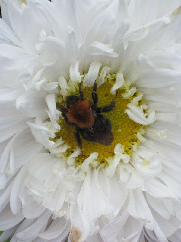 �����. ����� �������� ������� �� PhotoGeek.ru #����� #������ ��� ������� #����� ��������