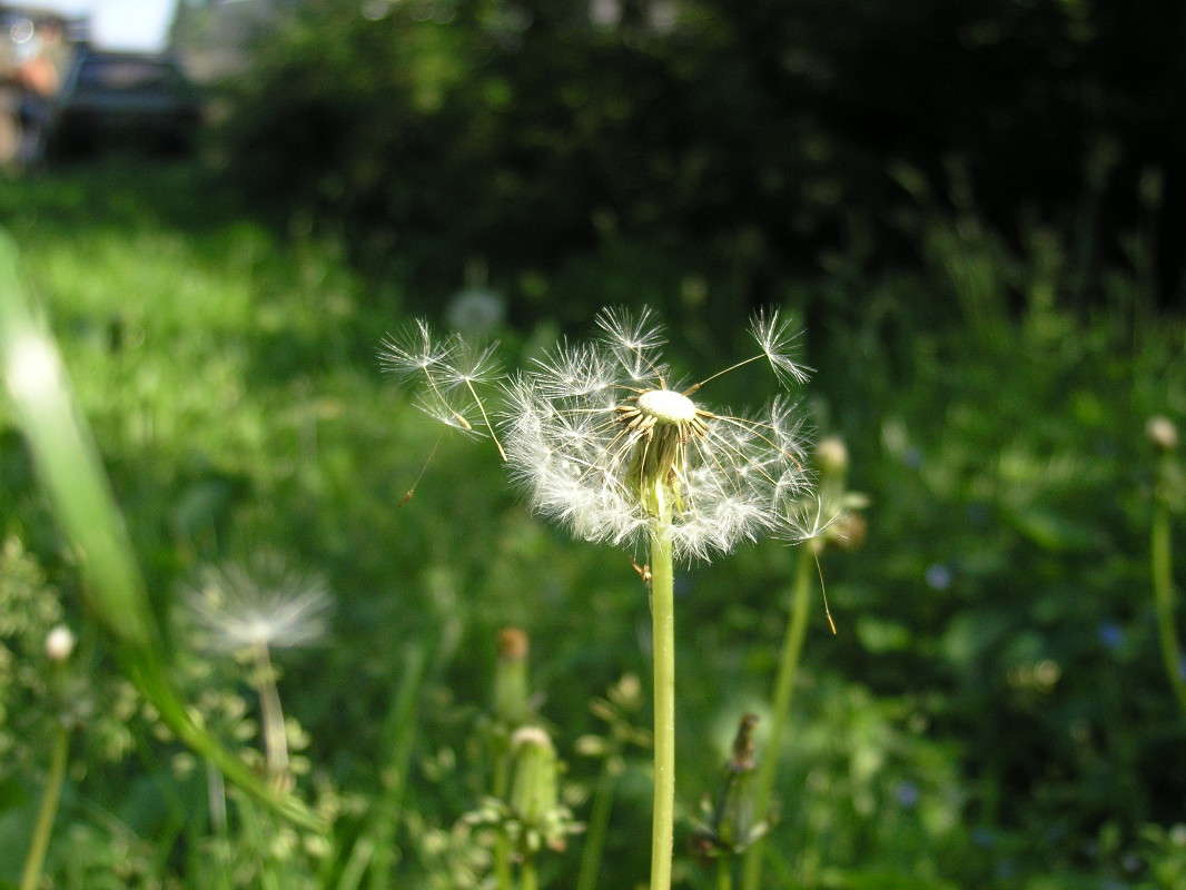 ���������...))) ����� �������� ������� �� PhotoGeek.ru #����� #������ ��� ������� #����� �������������� #������ #����� ��������