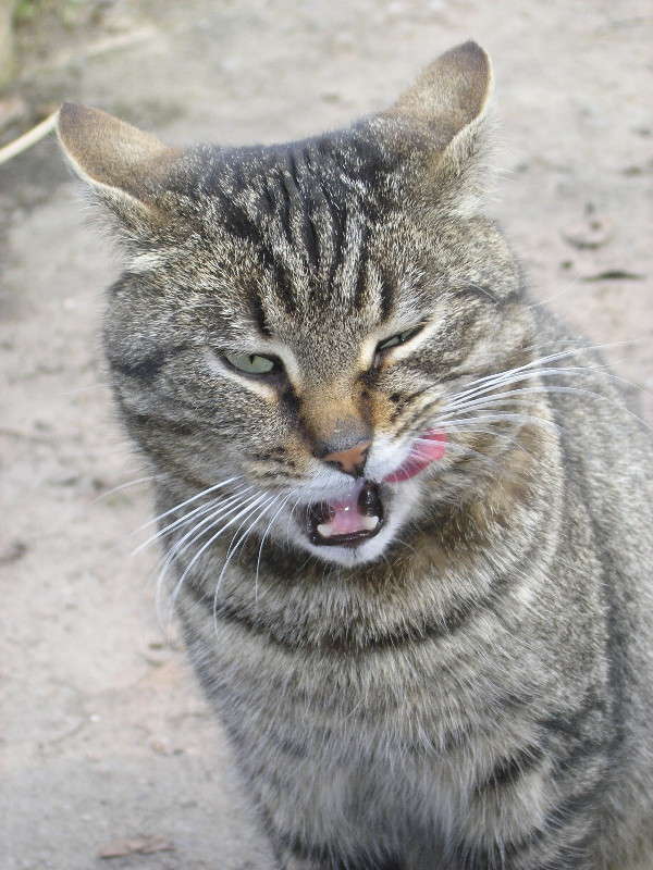 �����. ����� �������� ������� �� PhotoGeek.ru #�������� ��� #�������� ���