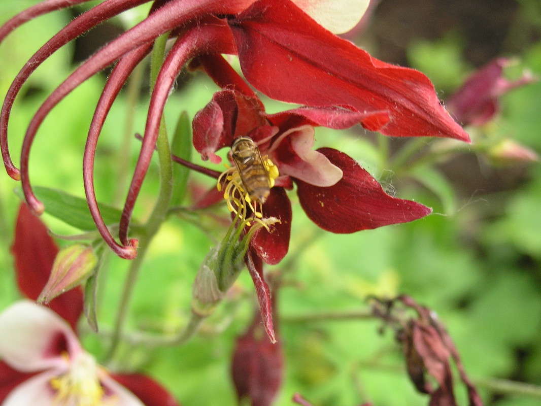 �������... ����� �������� ������� �� PhotoGeek.ru #������ ��� ������� #����� �������������� #����� ��������