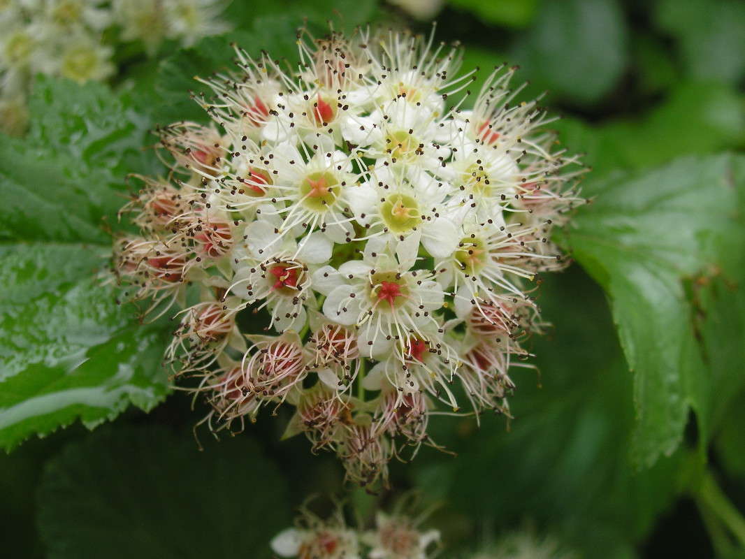 �����. ����� �������� ������� �� PhotoGeek.ru #������ ��� ������� #����� �������������� #����� ��������