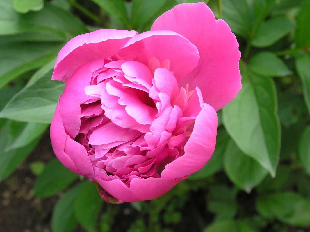 ����. ����� �������� ������� �� PhotoGeek.ru #����� #������ ��� ������� #����� �������������� #����� ��������