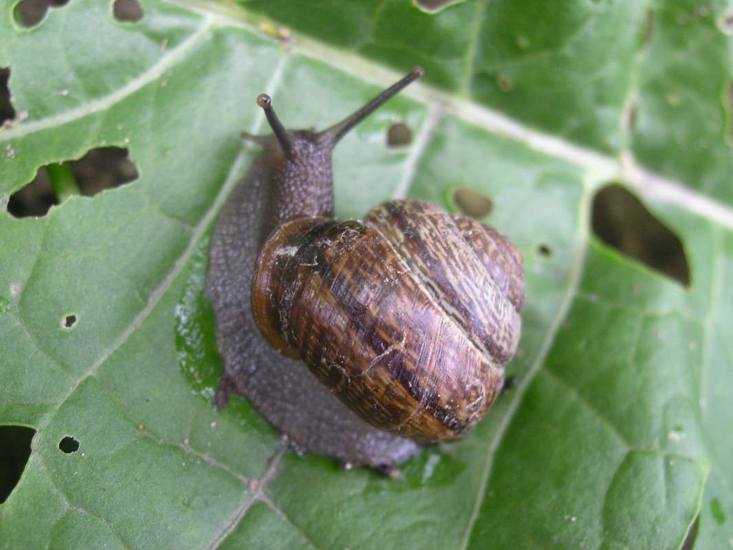 ������. ����� �������� ������� �� PhotoGeek.ru #����� #���������