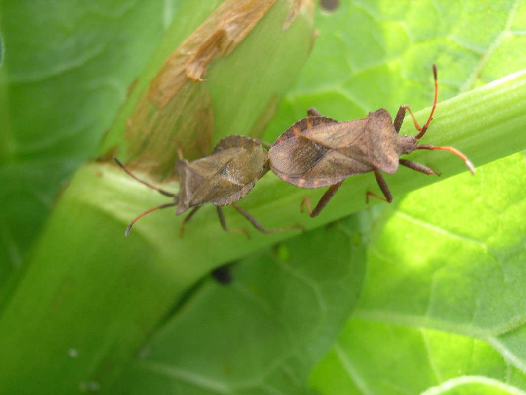 ... ����� �������� ������� �� PhotoGeek.ru #����� #������ ��� ������� #��������� #����� ��������