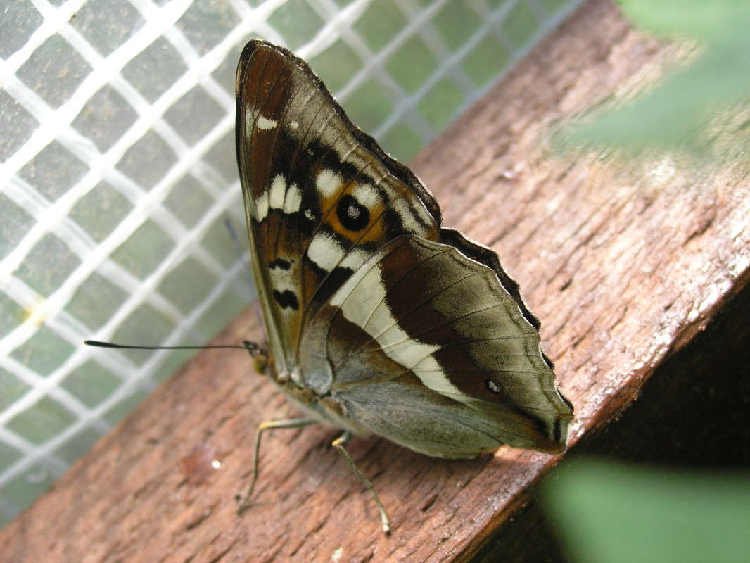 �������. ����� �������� ������� �� PhotoGeek.ru #����� #������ ��� ������� #����� �������������� #��������� #����� ��������