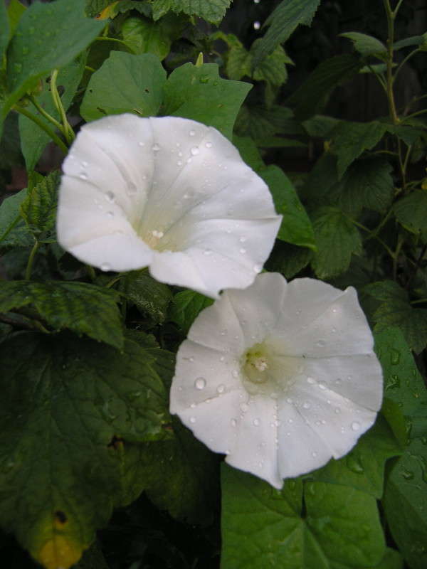 ��������.... ����� �������� ������� �� PhotoGeek.ru #������ ��� ������� #����� �������������� #��������� #����� ��������