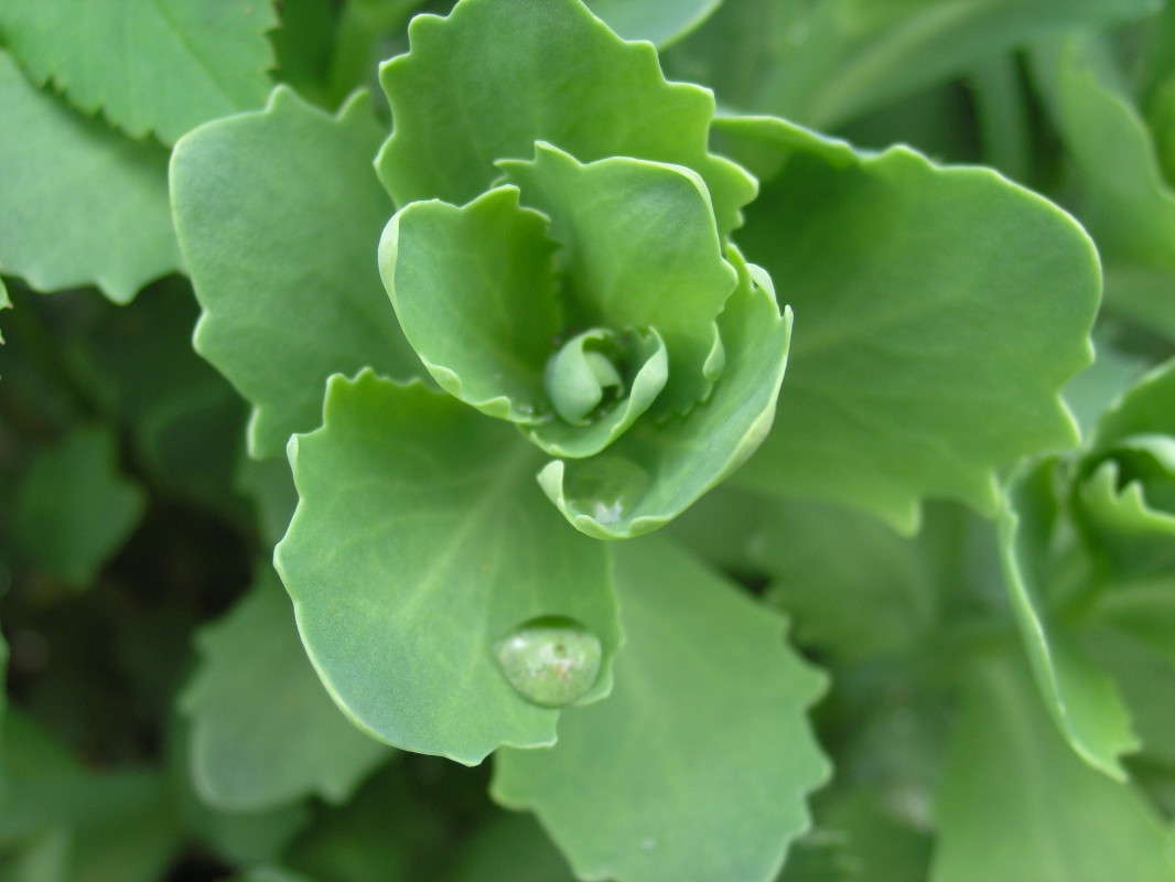 ... ����� �������� ������� �� PhotoGeek.ru #����� #�������� ��� #����� ��������������