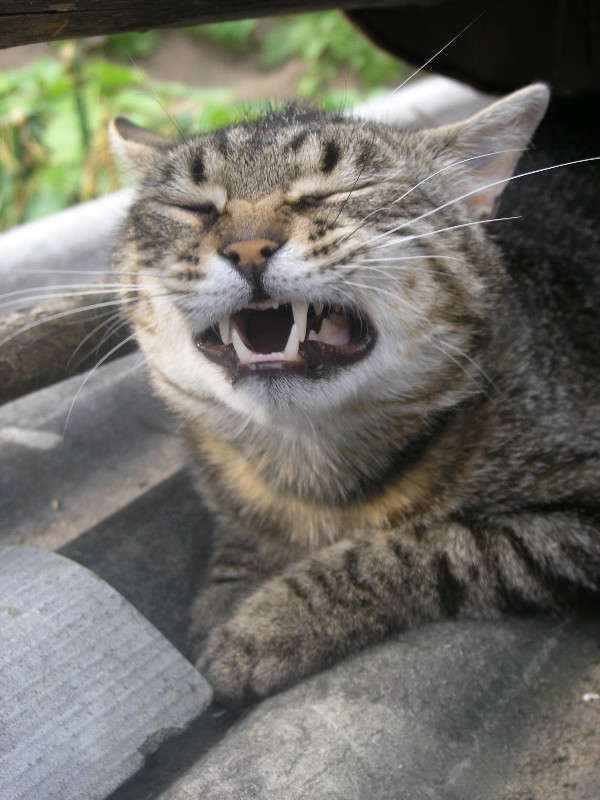 ������ �������!!!!!!! ����� �������� ������� �� PhotoGeek.ru #�������� ��� #������� #����� ��� ��� ��������� #�������� ���