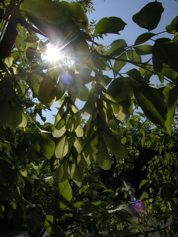 ������... ����� �������� ������� �� PhotoGeek.ru #����� #������ ��� ������� #����� ��������������