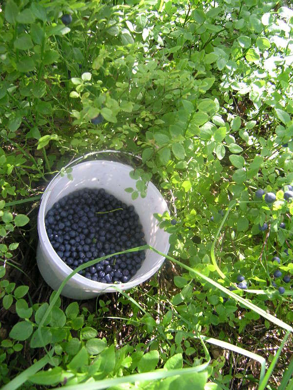 ��������� ����� �����...) ����� �������� ������� �� PhotoGeek.ru #������ ��� ������� #����� �������������� #��������� #����� ��������