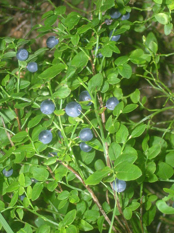 �������. ����� �������� ������� �� PhotoGeek.ru #������ ��� ������� #����� �������������� #����� ��������