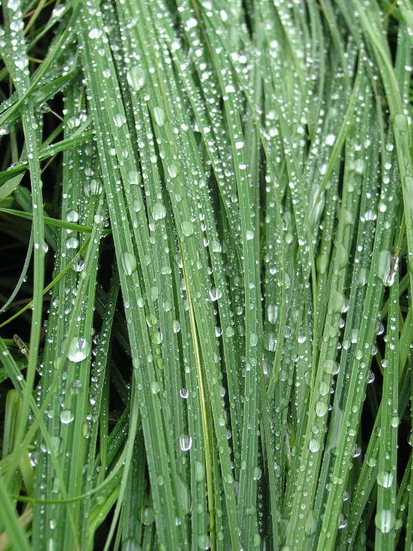 ��������.... ����� �������� ������� �� PhotoGeek.ru #����� #����� ��������������