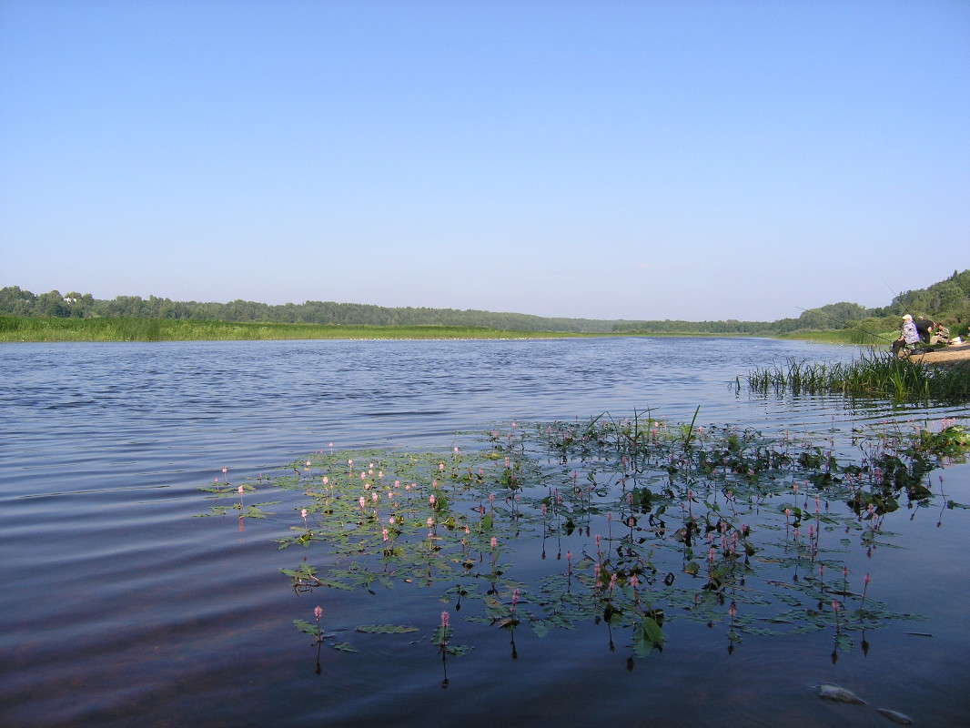 ���� ������. ����� �������� ������� �� PhotoGeek.ru #������ ��� ������� #������ #����� ��������