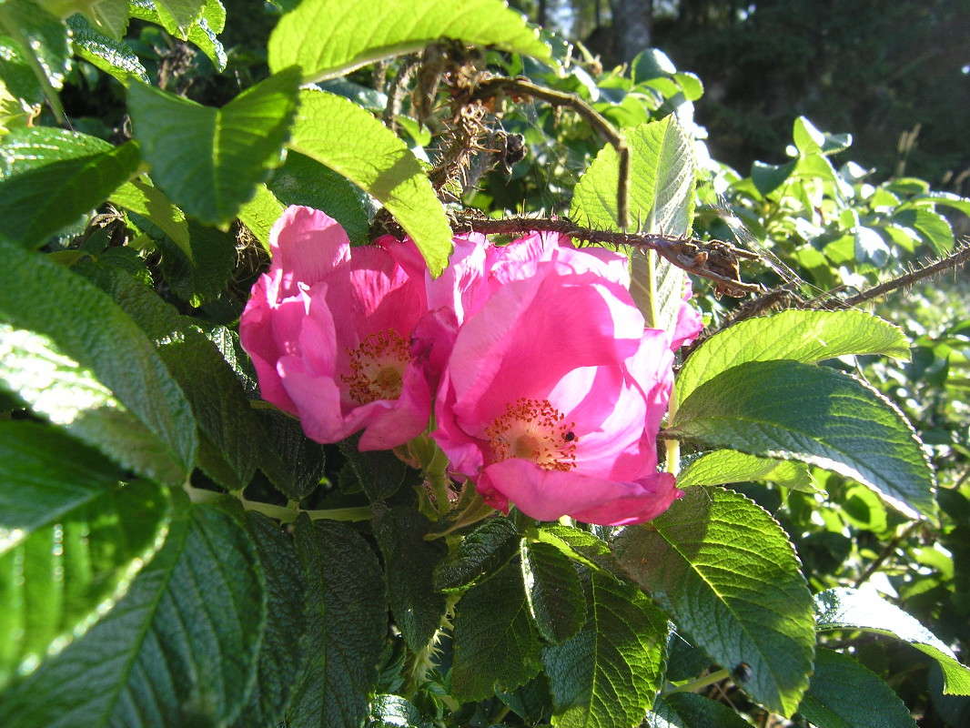 ��������... ����� �������� ������� �� PhotoGeek.ru #������ ��� ������� #����� �������������� #����� ��������