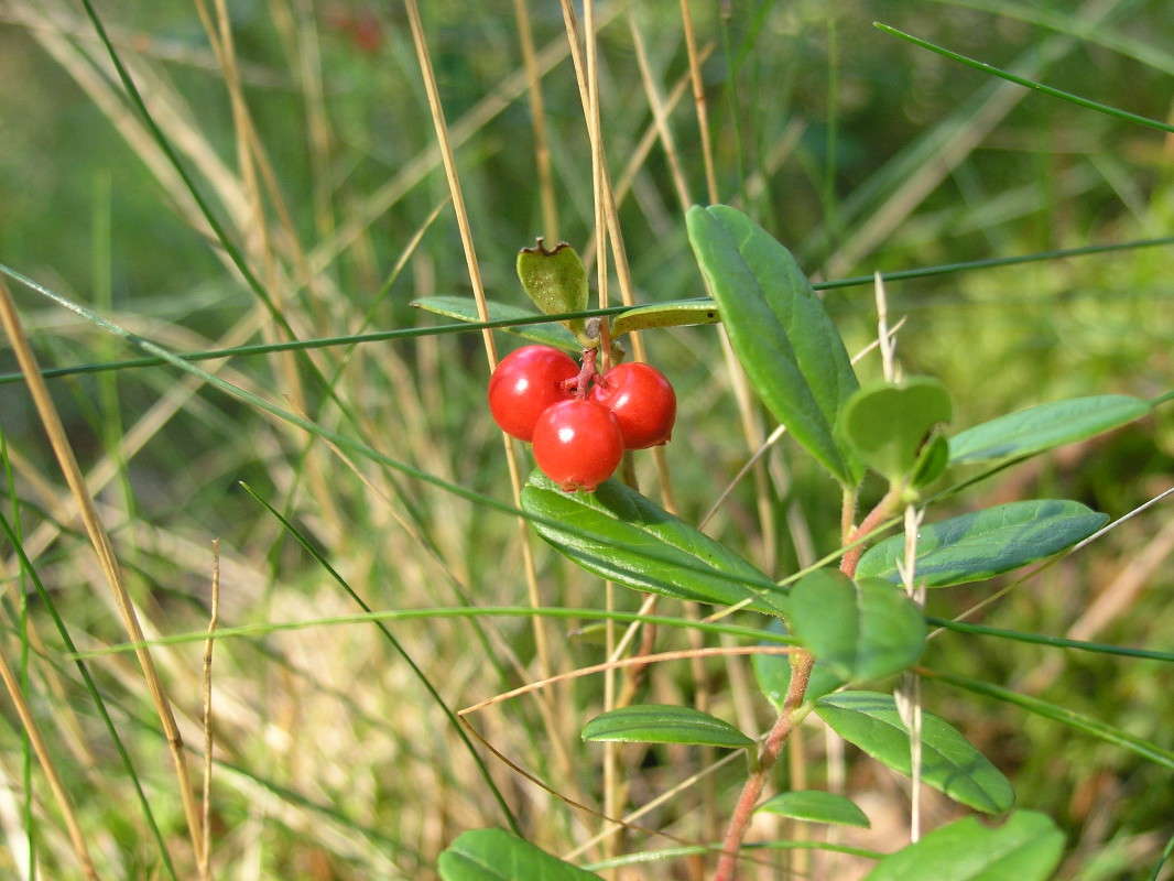 ������ ��������. ����� �������� ������� �� PhotoGeek.ru #������ ��� ������� #����� �������������� #���������