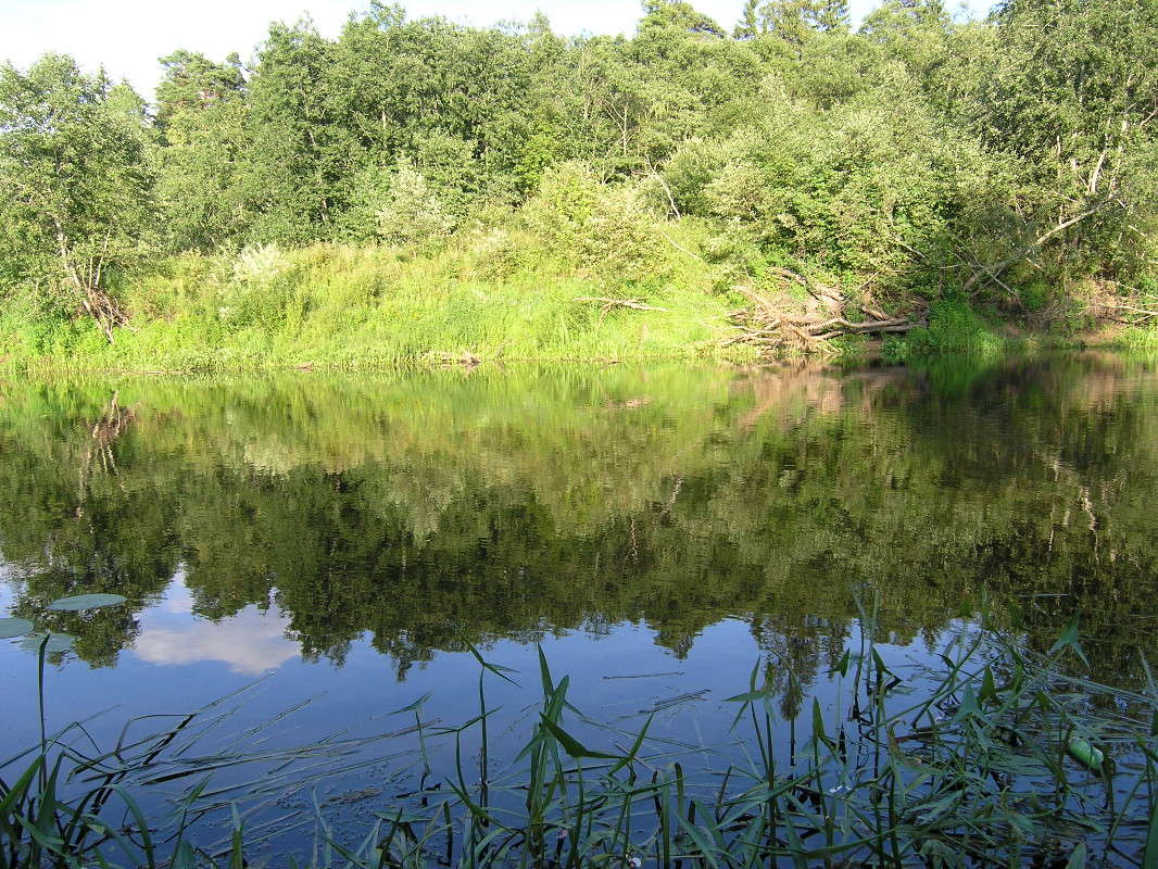 ���� ���� ����� �������� ������� �� PhotoGeek.ru #������ ��� ������� #���� #����� ��������