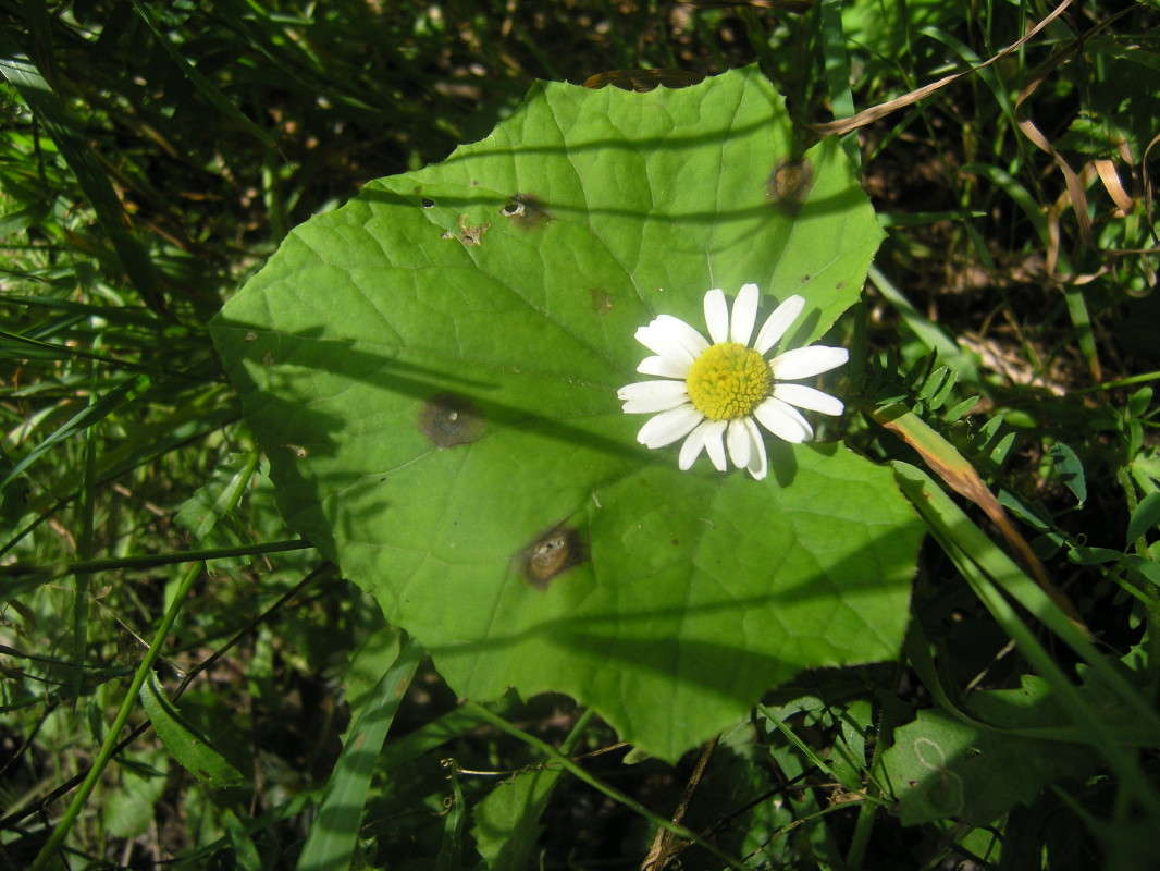 ������� � ����-�-������. ����� �������� ������� �� PhotoGeek.ru #������ ��� �������