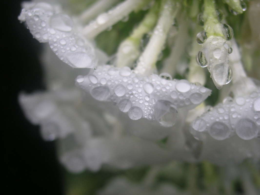 ����� �� ����� �������... ����� �������� ������� �� PhotoGeek.ru #����� #������ ��� ������� #����� �������������� #����� ��������