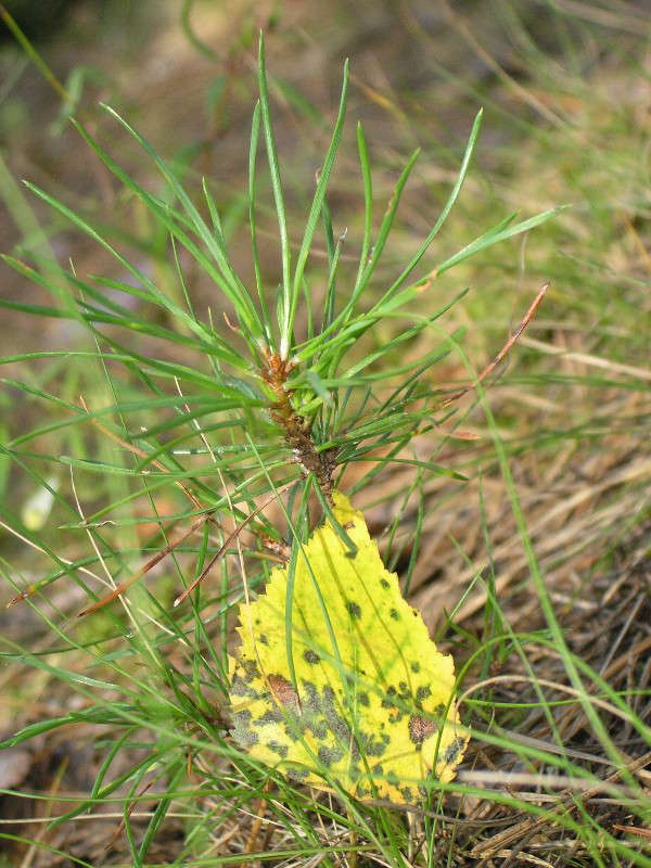 ��� � ����� ��� ��������... ����� �������� ������� �� PhotoGeek.ru #������ ��� ������� #����� �������������� #��������� #����� ��������