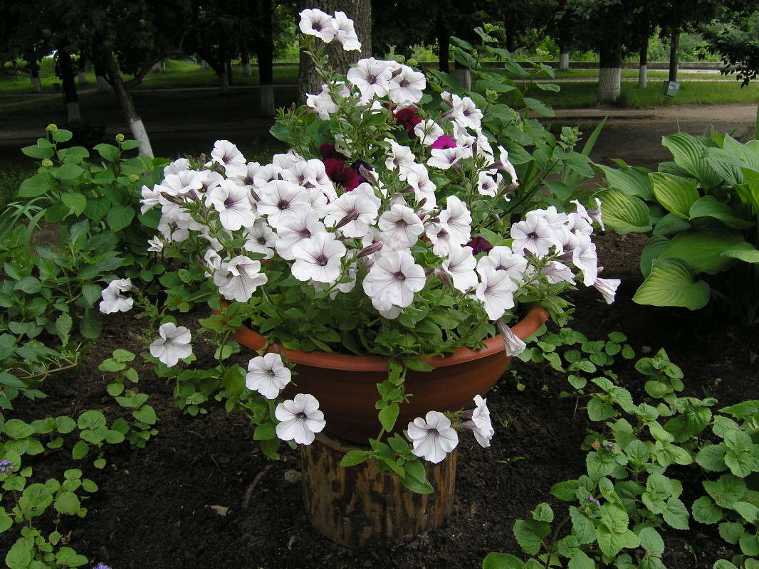 �������� � �������))) ����� �������� ������� �� PhotoGeek.ru #������ ��� ������� #����� ��������������