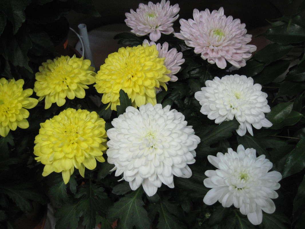 ����������. ����� �������� ������� �� PhotoGeek.ru #������ ��� ������� #����� �������������� #���������