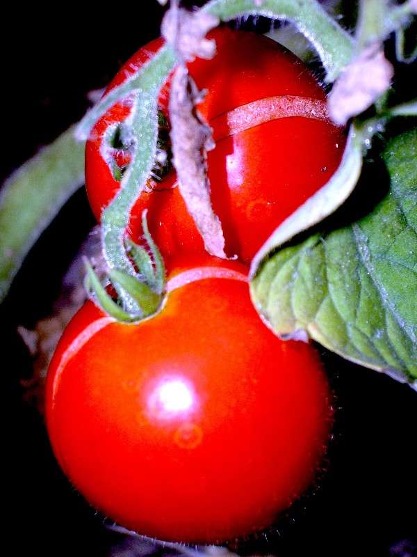 ��������� ��������... ����� �������� ������� �� PhotoGeek.ru #������ ��� ������� #���������