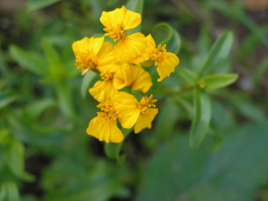 �����. ����� �������� ������� �� PhotoGeek.ru #�����